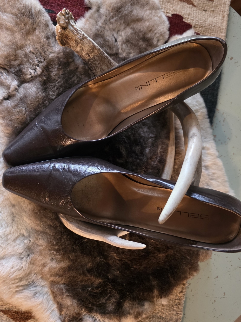 Bellini Dark Brown Pointed-Toe Leather Pumps